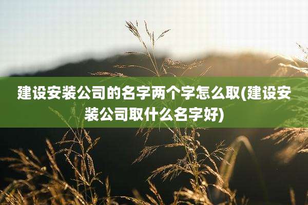 建设安装公司的名字两个字怎么取(建设安装公司取什么名字好)