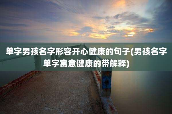 单字男孩名字形容开心健康的句子(男孩名字单字寓意健康的带解释)