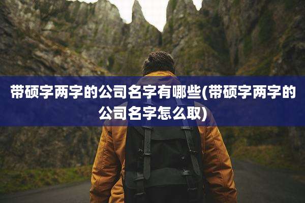 带硕字两字的公司名字有哪些(带硕字两字的公司名字怎么取)