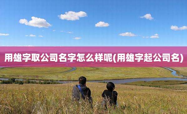 用雄字取公司名字怎么样呢(用雄字起公司名)