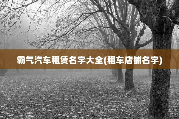 霸气汽车租赁名字大全(租车店铺名字)