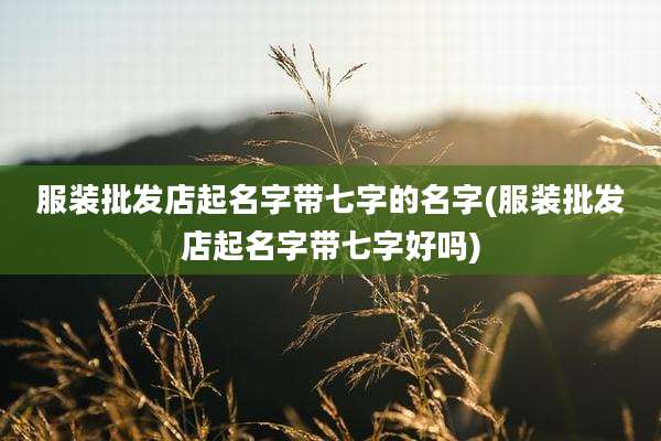 服装批发店起名字带七字的名字(服装批发店起名字带七字好吗)