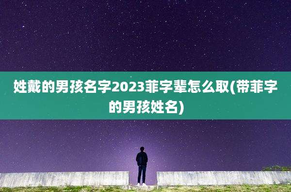 姓戴的男孩名字2023菲字辈怎么取(带菲字的男孩姓名)