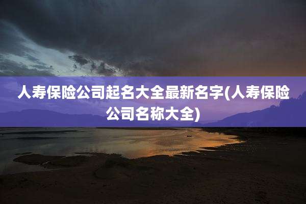 人寿保险公司起名大全最新名字(人寿保险公司名称大全)