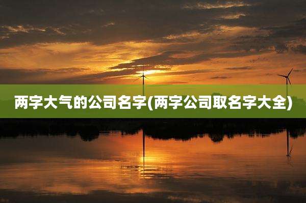 两字大气的公司名字(两字公司取名字大全)