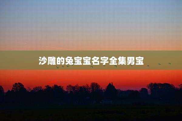 沙雕的兔宝宝名字全集男宝