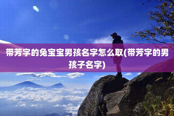 带芳字的兔宝宝男孩名字怎么取(带芳字的男孩子名字)