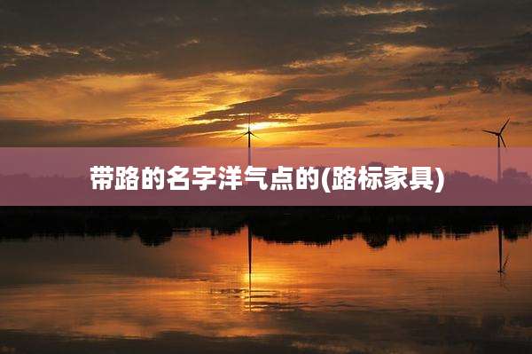 带路的名字洋气点的(路标家具)