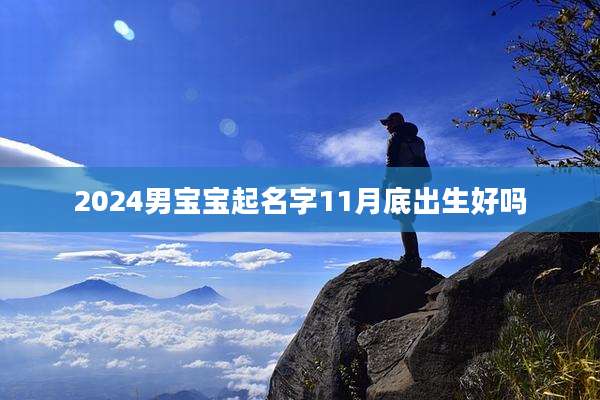 2024男宝宝起名字11月底出生好吗