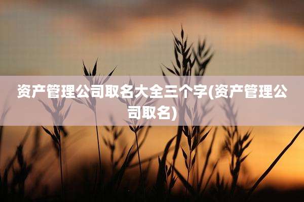 资产管理公司取名大全三个字(资产管理公司取名)