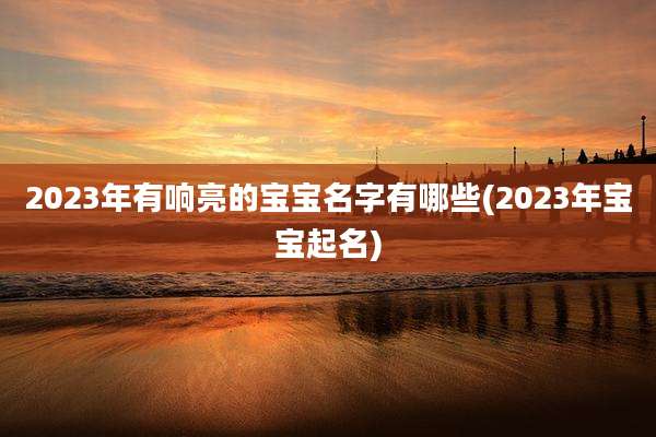 2023年有响亮的宝宝名字有哪些(2023年宝宝起名)