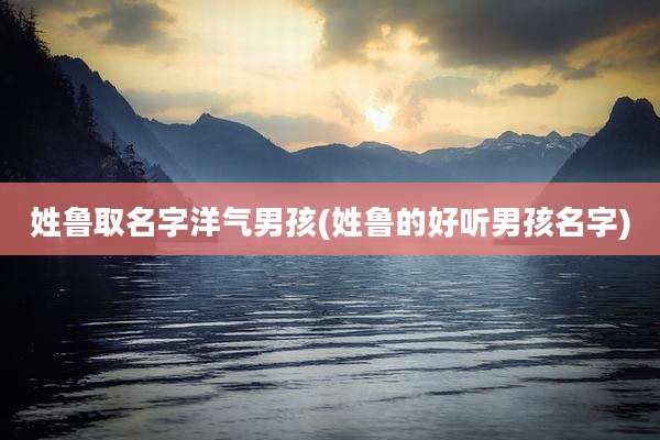 姓鲁取名字洋气男孩(姓鲁的好听男孩名字)