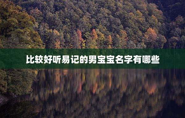 比较好听易记的男宝宝名字有哪些