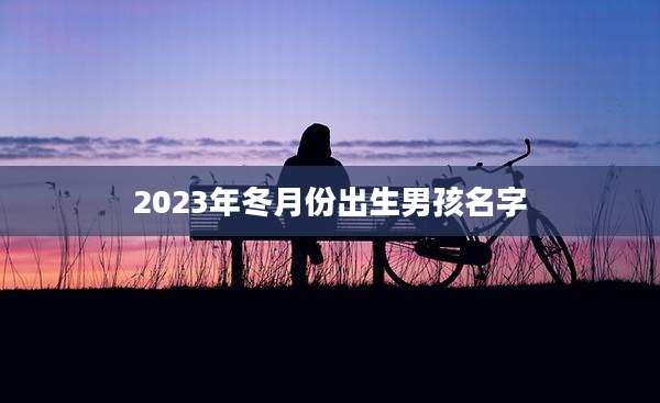 2023年冬月份出生男孩名字