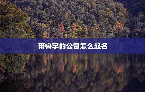 带睿字的公司怎么起名