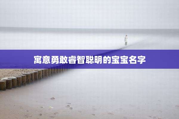 寓意勇敢睿智聪明的宝宝名字