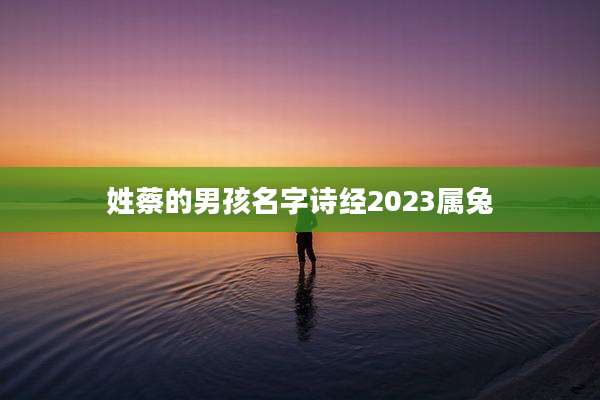 姓蔡的男孩名字诗经2023属兔