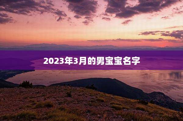 2023年3月的男宝宝名字