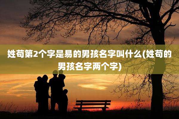 姓苟第2个字是易的男孩名字叫什么(姓苟的男孩名字两个字)