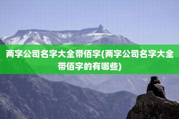 两字公司名字大全带佰字(两字公司名字大全带佰字的有哪些)