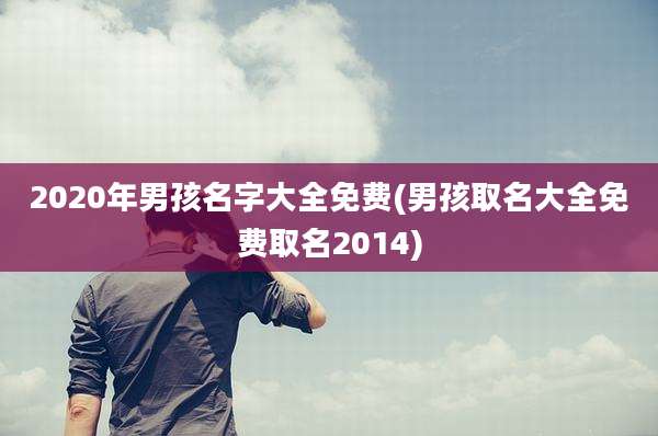 2020年男孩名字大全免费(男孩取名大全免费取名2014)