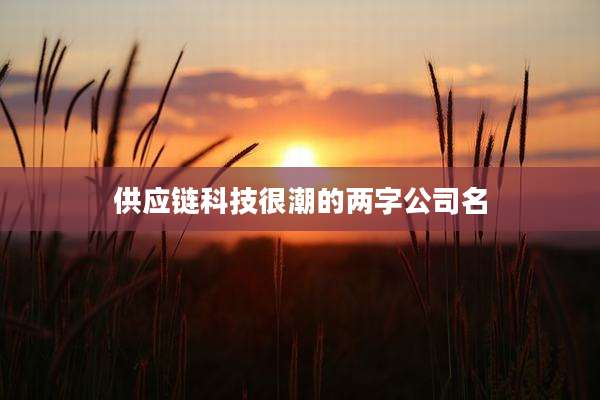 供应链科技很潮的两字公司名