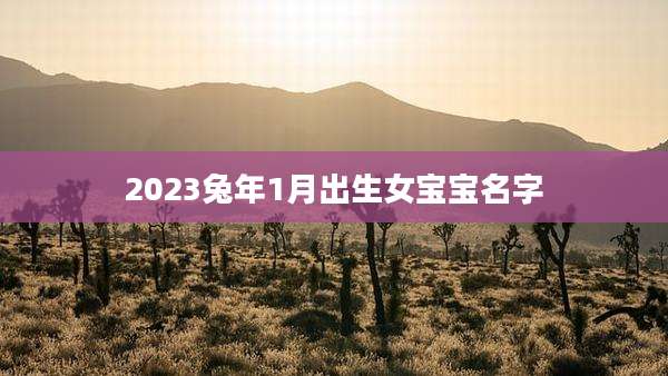 2023兔年1月出生女宝宝名字