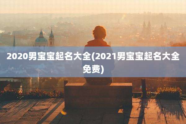 2020男宝宝起名大全(2021男宝宝起名大全免费)