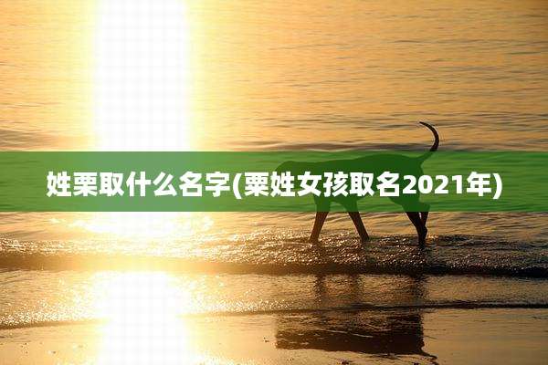 姓栗取什么名字(粟姓女孩取名2021年)