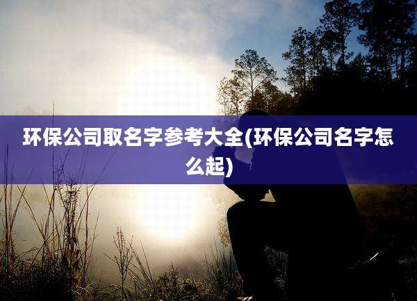 环保公司取名字参考大全(环保公司名字怎么起)