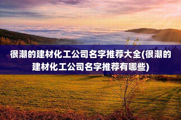 很潮的建材化工公司名字推荐大全(很潮的建材化工公司名字推荐有哪些)