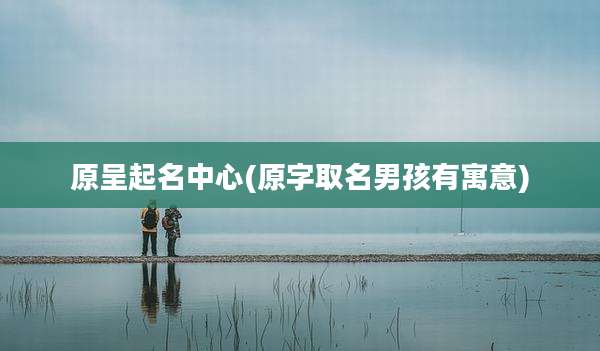 原呈起名中心(原字取名男孩有寓意)
