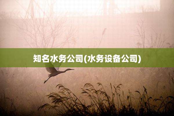 知名水务公司(水务设备公司)