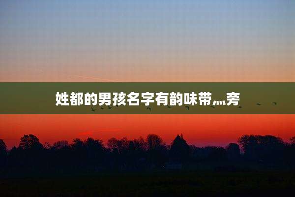 姓都的男孩名字有韵味带灬旁