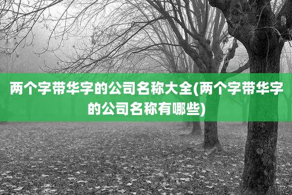 两个字带华字的公司名称大全(两个字带华字的公司名称有哪些)