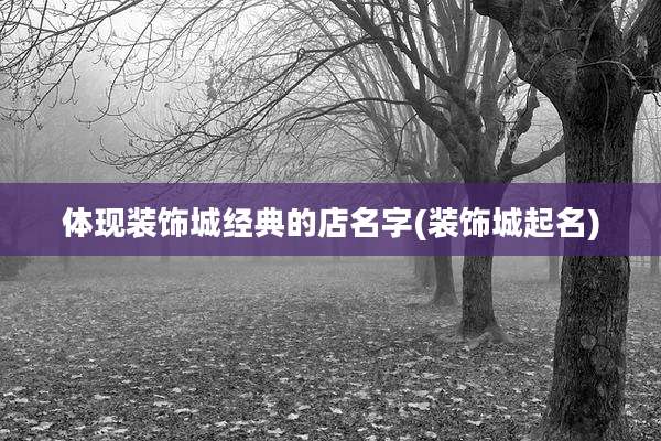 体现装饰城经典的店名字(装饰城起名)