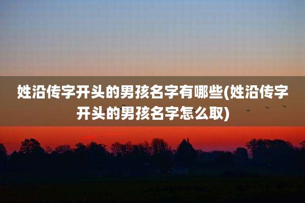 姓沿传字开头的男孩名字有哪些(姓沿传字开头的男孩名字怎么取)
