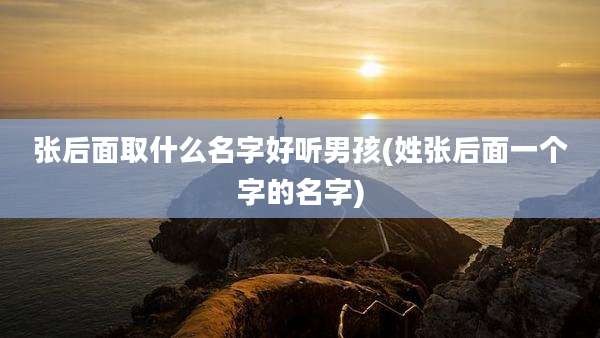 张后面取什么名字好听男孩(姓张后面一个字的名字)