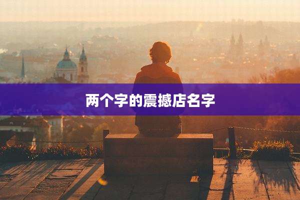 两个字的震撼店名字