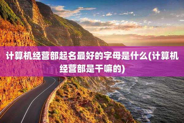 计算机经营部起名最好的字母是什么(计算机经营部是干嘛的)
