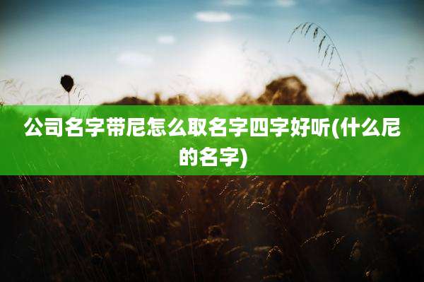 公司名字带尼怎么取名字四字好听(什么尼的名字)