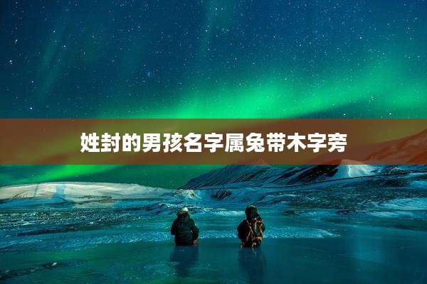 姓封的男孩名字属兔带木字旁