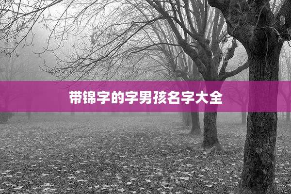 带锦字的字男孩名字大全