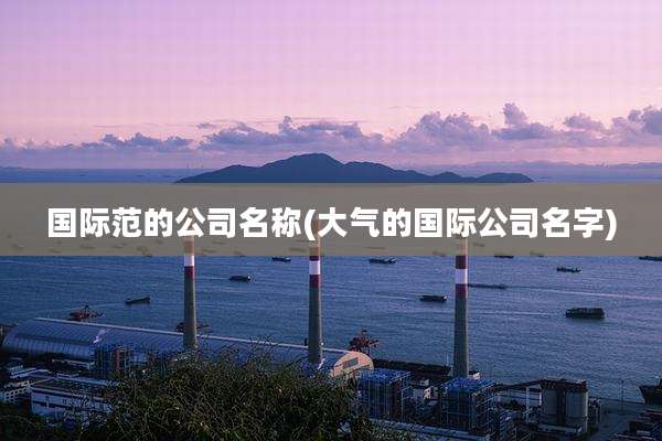 国际范的公司名称(大气的国际公司名字)