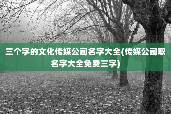 三个字的文化传媒公司名字大全(传媒公司取名字大全免费三字)