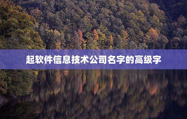 起软件信息技术公司名字的高级字