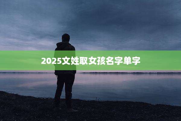2025文姓取女孩名字单字