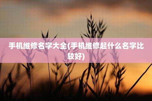 手机维修名字大全(手机维修起什么名字比较好)