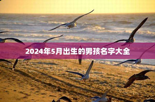 2024年5月出生的男孩名字大全