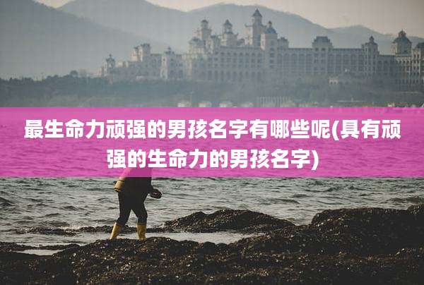 最生命力顽强的男孩名字有哪些呢(具有顽强的生命力的男孩名字)